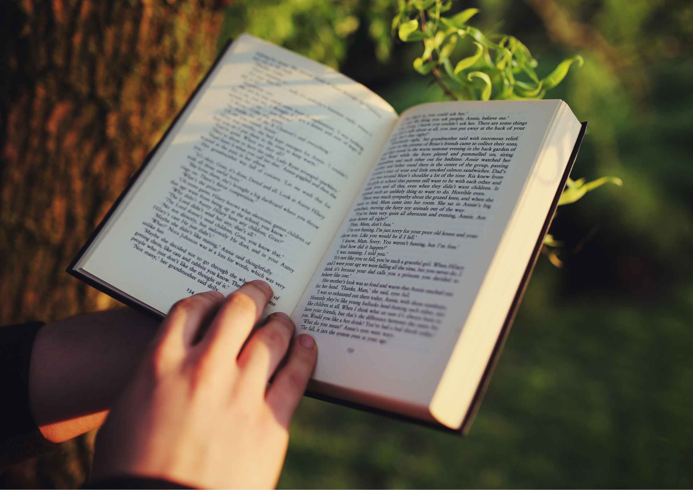 Rekomendasi Jenis Buku untuk Bacaan Harian