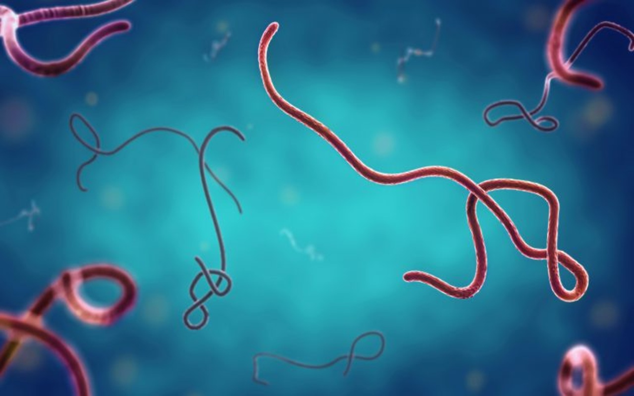 Wabah Virus Bundibugyo di Kongo Tembus 7.200 Kasus, 3.475 Orang Meninggal