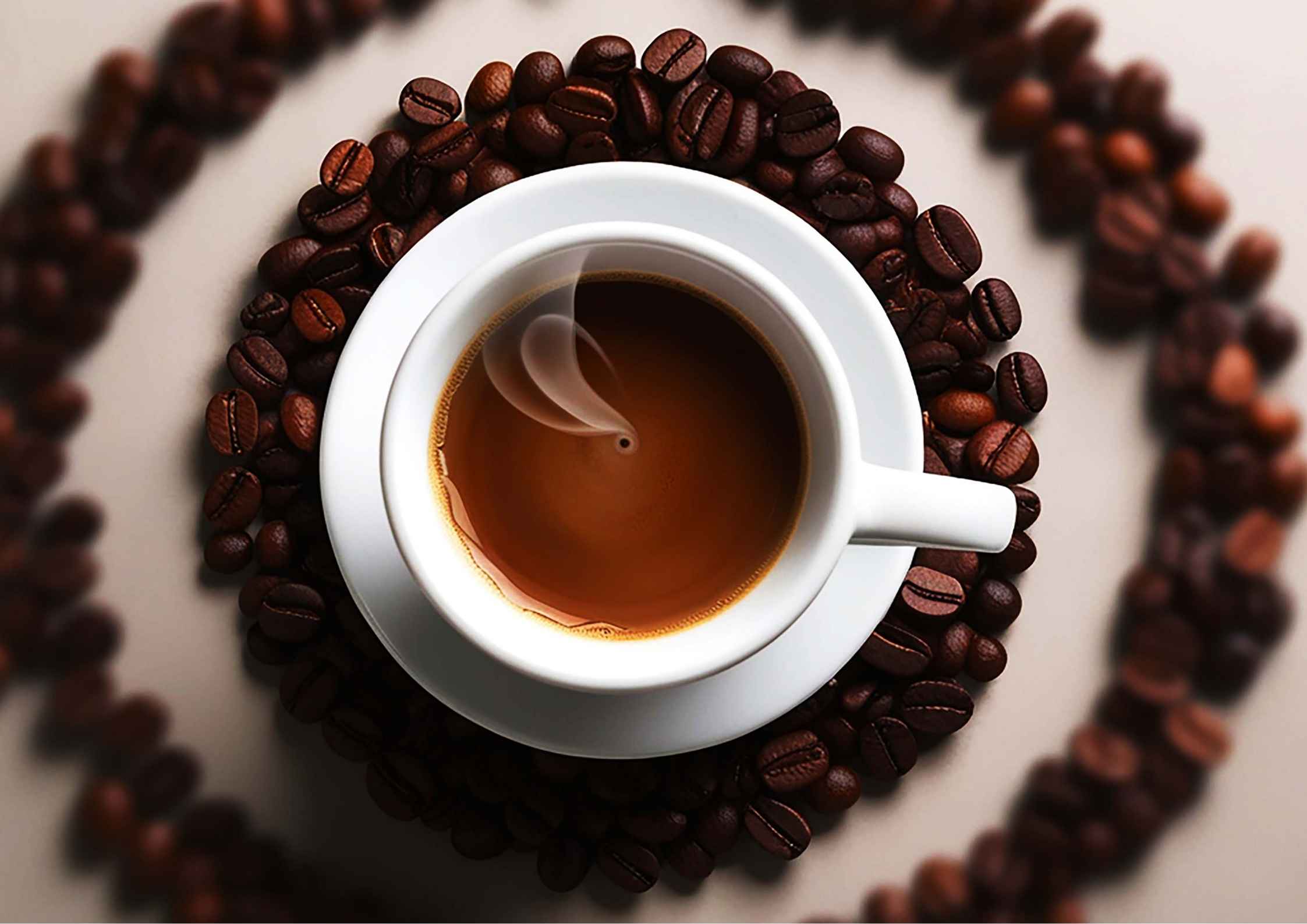 Kopi Arabika dan Robusta, Apa Bedanya dan Mana Favoritmu?