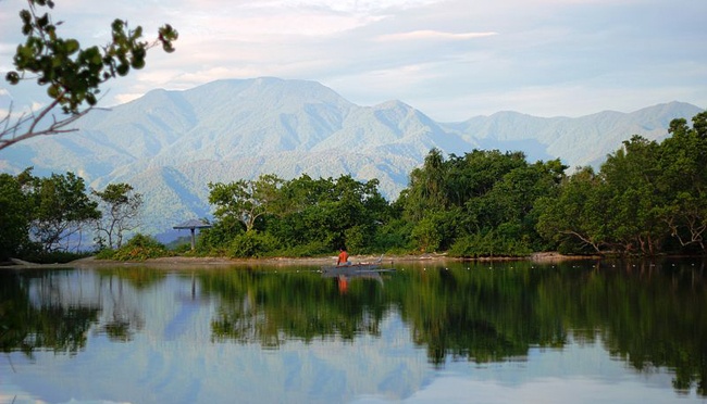 Eksotisme Alam Papua: Jelajahi Taman Nasional Arfak