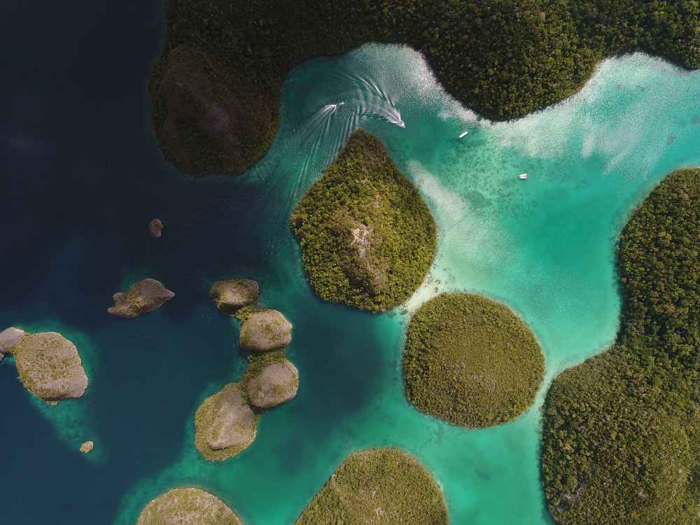 Eksplorasi Raja Ampat: Destinasi Wisata Penuh Pesona