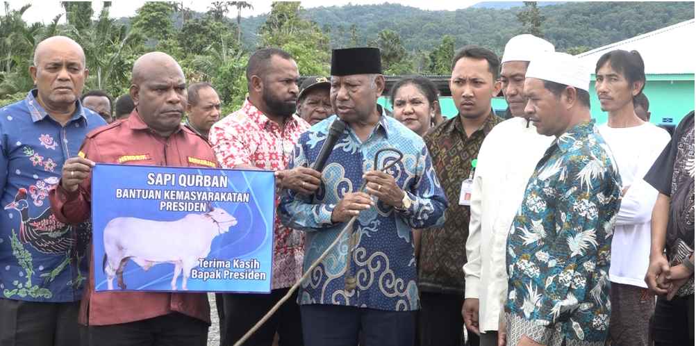 Idul Adha 1446 H: Pemprov Papua Barat Salurkan Puluhan Sapi Kurban ke Kampung dan Instansi