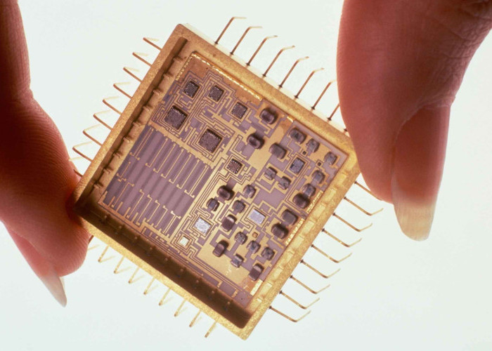Bukan Cuma Silicon Chip! Ini Komputer Biologis Berbasis Sel Otak Manusia yang Siap Geser AI