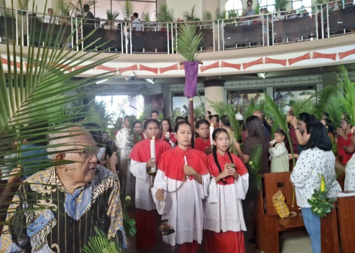 Ribuan Umat Hadiri Misa Minggu Palma di Manokwari, Awali Pekan Suci Penuh Khidmat