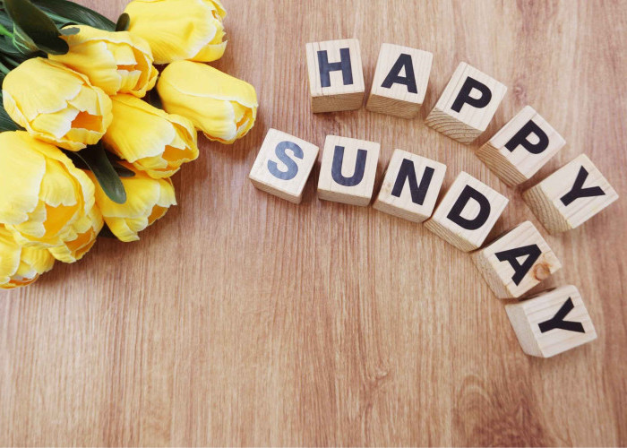 The Art of Doing Nothing: Cara Menikmati Hari Minggu Tanpa Rasa Bersalah