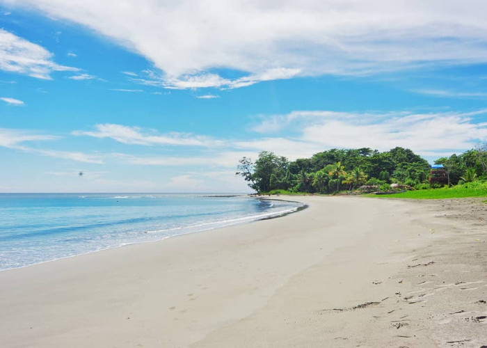 Jelajah Manokwari: 5 Tempat Wisata yang Wajib Dikunjungi