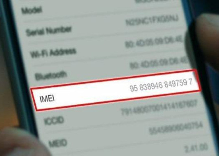 Cara Cek IMEI iPhone Inter di Bea Cukai Terbaru 2026, Ini Panduan Lengkapnya