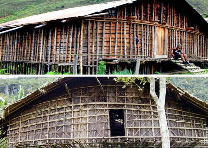 3 Rumah Adat Papua Barat, Mengenal Mod Aki Aksa hingga Rumah Panggung Raja Ampat