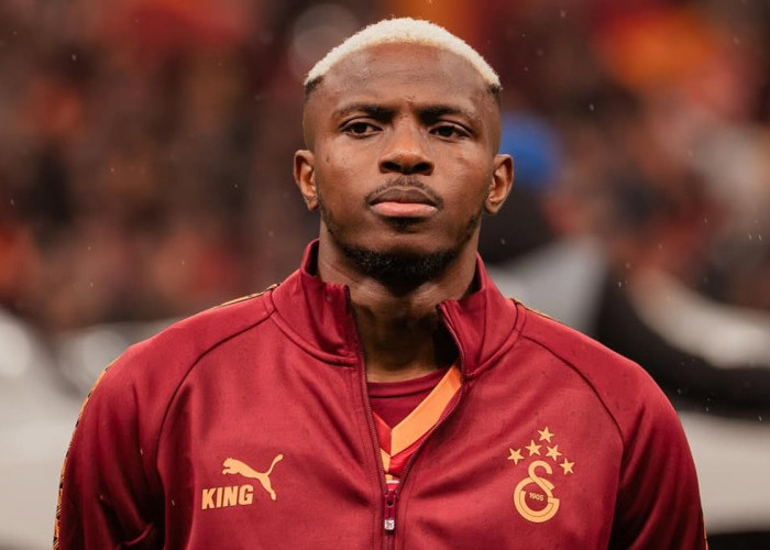 Barcelona Siapkan Suksesor Lewandowski, Victor Osimhen Masuk Radar Jika Gagal Dapatkan Julian Alvarez