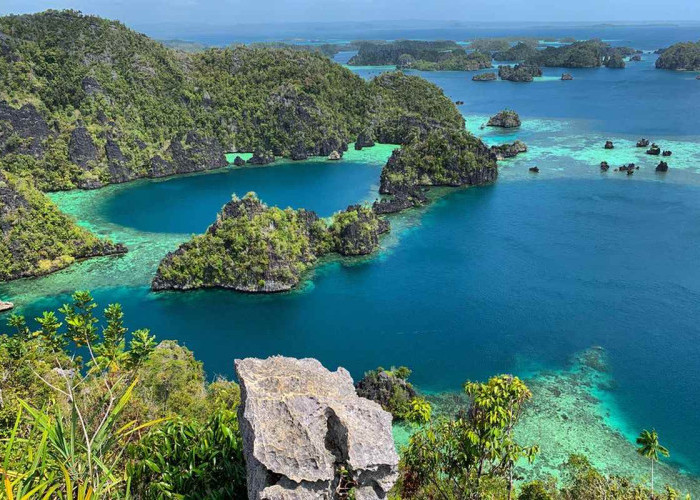Pulau Misool: Permata Tersembunyi di Raja Ampat