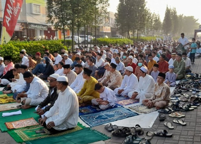 Daftar 27 Lokasi Salat Iduladha 1447 H di Manokwari, PHBI Prediksi Hewan Kurban Menurun