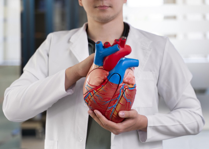 12 Makanan Sehat untuk Jantung yang Wajib Dikonsumsi, Turunkan Risiko Penyakit Jantung