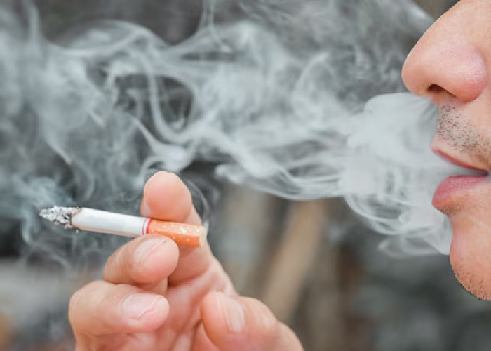7 Bagian Tubuh yang Paling Cepat Rusak Akibat Merokok, Paru-paru hingga Jantung Terancam