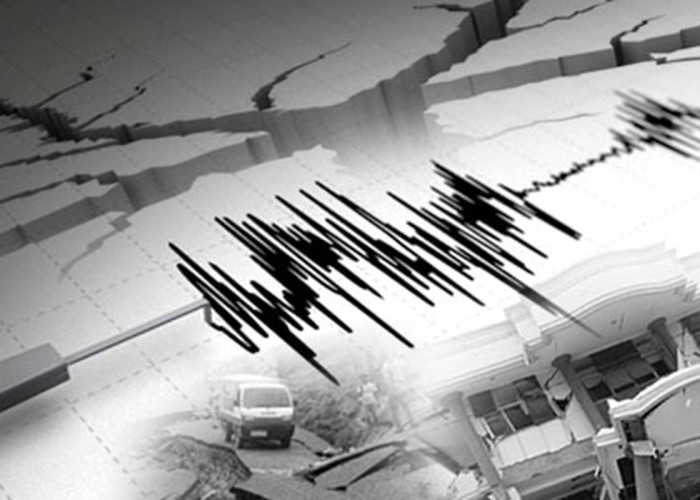 BMKG: Gempa M 4,5 Terjadi di Manokwari Papua Barat, Ini Lokasinya