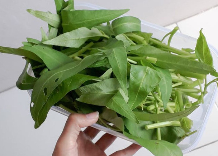 9 Manfaat Kangkung bagi Kesehatan yang Sudah Diteliti, Bisa Bantu Atasi Anemia hingga Insomnia