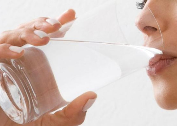 Jangan Tunggu Haus! Ini Panduan Pemenuhan Cairan Harian