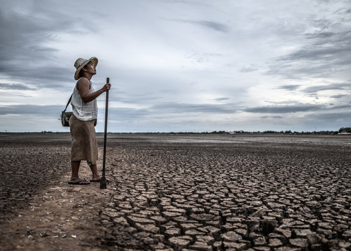 El Nino Sangat Kuat Menguat, BMKG Keluarkan Peringatan Kekeringan untuk Banyak Wilayah Indonesia