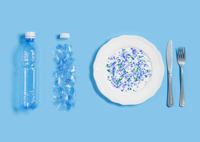 Microplastics di Tubuh Kita: Strategi Praktis Meminimalkan Paparan Plastik Tak Kasat Mata
