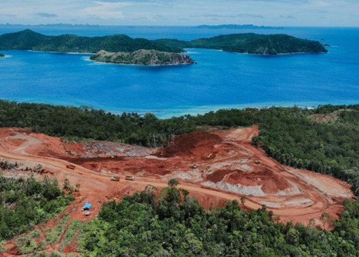 Tambang Nikel Ancam Keindahan Raja Ampat: Laut dan Hutan di Persimpangan
