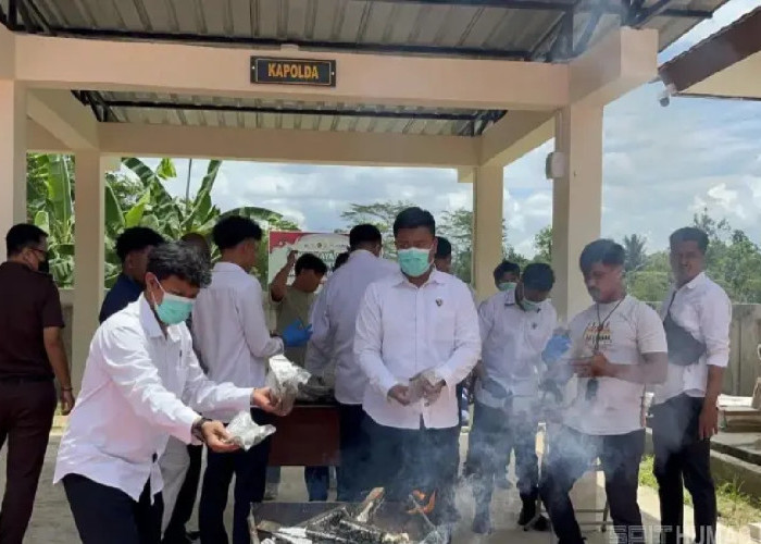 Polisi Bongkar Peredaran Ganja 7,9 Kg di Sorong, Diduga Terkait Jaringan PNG