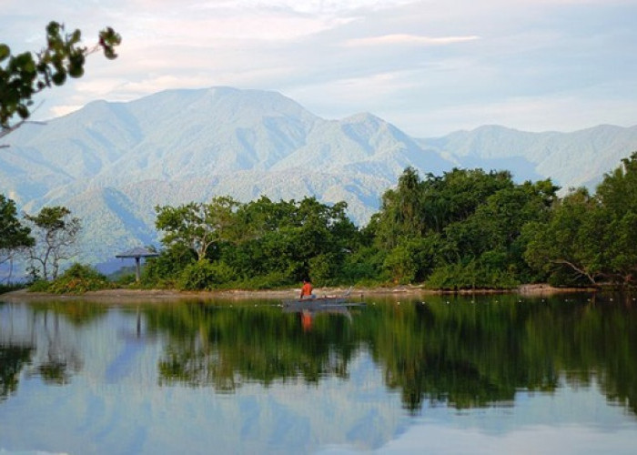 Eksotisme Alam Papua: Jelajahi Taman Nasional Arfak
