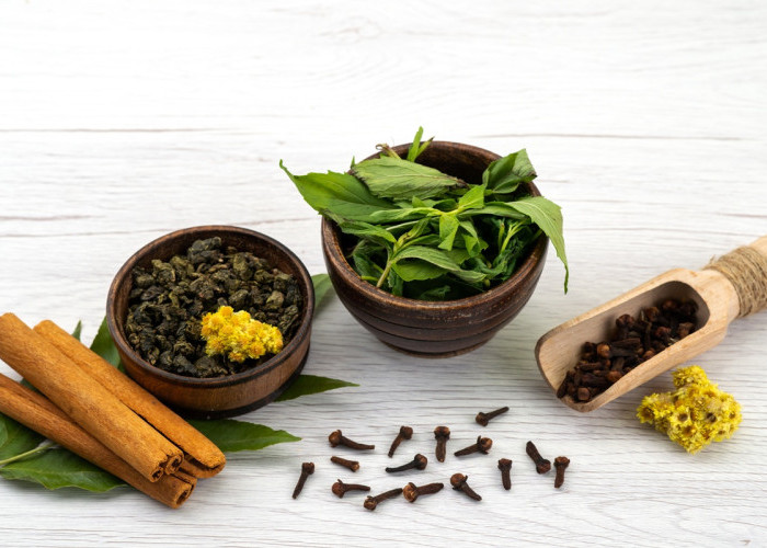 Jangan Asal Minum! Ini Daftar Obat Herbal yang Terbukti Punya Manfaat Menurut Penelitian