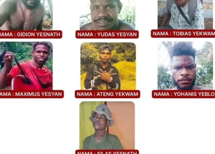 Serangan KKB di Tambrauw: Dua Tenaga Kesehatan Tewas, Tujuh Pelaku Masuk DPO