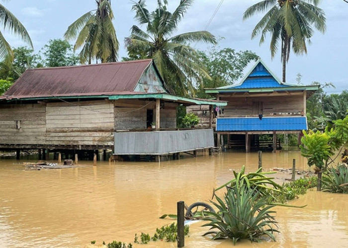 Banjir Manokwari: Tim SAR Evakuasi Sekitar 100 Warga di Wosi Papua Barat