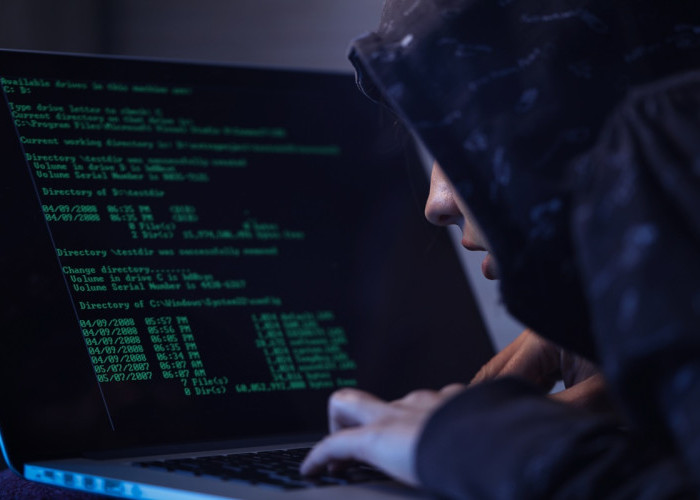 VPN Pemerintah Jepang Diretas, Sekitar 246.000 Data Pegawai dan Individu Terancam Bocor