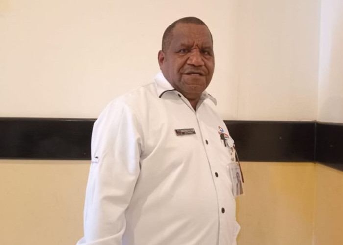 PSN di Tanah Papua Disorot Ombudsman, Hak Tanah Adat Jadi Isu Krusial