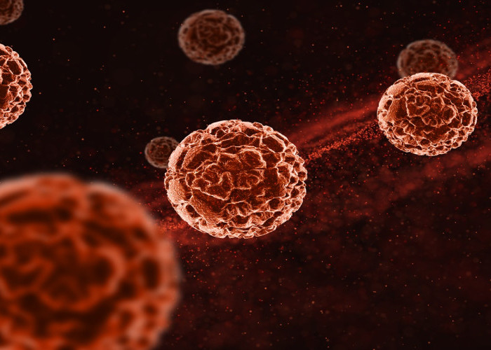 Peneliti Kembangkan Cara Baru Lawan Leukemia, Sel Kanker Dipaksa Bekerja hingga Mati