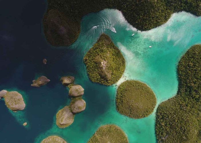 Eksplorasi Raja Ampat: Destinasi Wisata Penuh Pesona