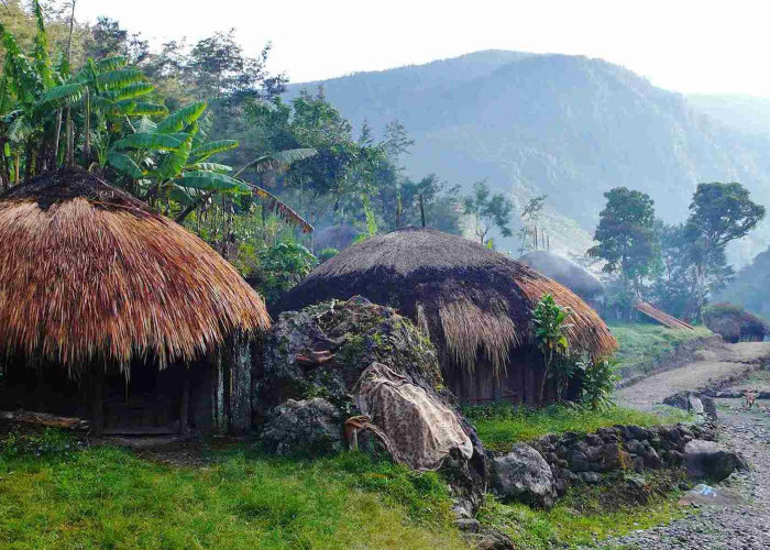 Menembus Waktu ke Jantung Papua: 5 Alasan Magis Mengapa Lembah Baliem Wajib Masuk Bucket List Kamu