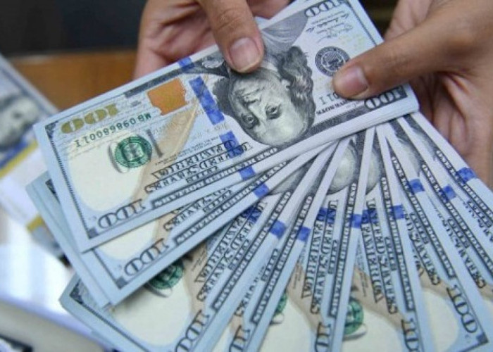 Viral! Cuma Nonton Video 10 Detik di HP Bisa Dapat Rp8 Juta? Ini Fakta Tentang Situs Turning Five!