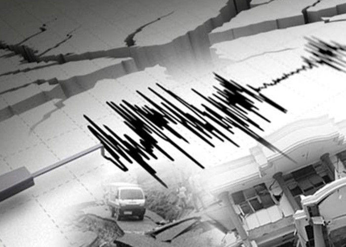 Info Gempa Hari Ini: Waropen Papua Diguncang M 3,8, BMKG Sampaikan Peringatan Penting
