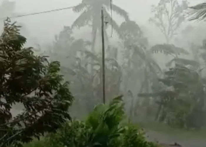 Prakiraan Cuaca Papua Barat Rabu 1 April 2026: Mayoritas Wilayah Berpotensi Hujan Ringan