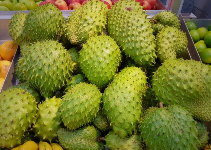 Fakta dan Mitos Khasiat Buah serta Daun Sirsak untuk Kesehatan, Jangan Sampai Salah Paham