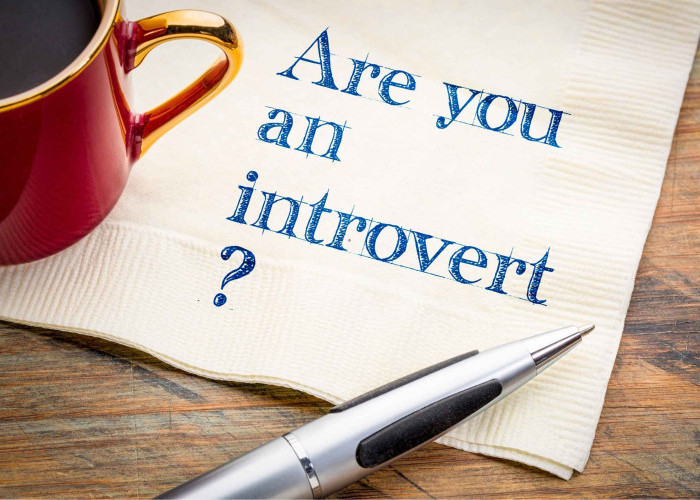 Dunia Kerja Bukan Cuma Milik Ekstrovert: 5 Alasan Kenapa Introvert Adalah Aset Berharga Perusahaan