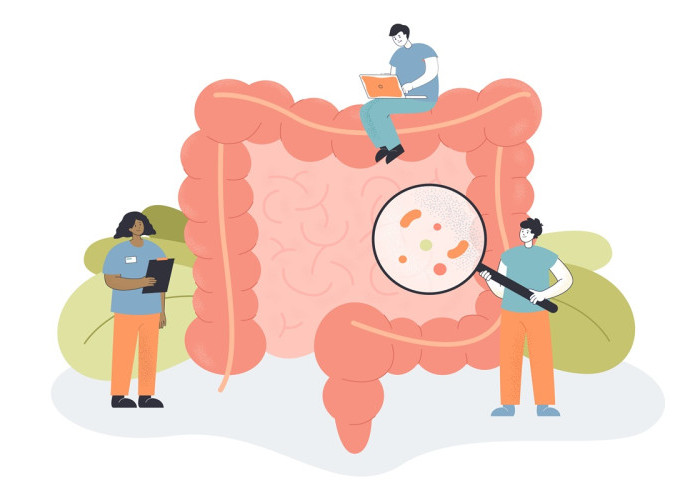 Probiotik, Prebiotik, Sinbiotik, dan Postbiotik: Apa Perbedaannya bagi Kesehatan Usus?