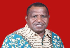 Ombudsman Papua Barat Soroti 507 Kasus Kusta di Manokwari, Dorong Penguatan Layanan Kesehatan