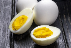 5 Manfaat Makan Telur Rebus Sebelum Tidur, dari Bantu Tidur hingga Menjaga Kesehatan Mata