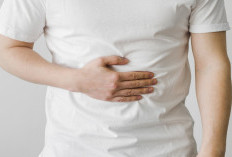 5 Cara Menjaga Kesehatan Organ Pencernaan, Mulai dari Makanan hingga Kebiasaan Harian