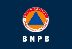 BNPB Imbau Waspada Cuaca Ekstrem, Banjir Manokwari dan Lombok Tengah Mulai Surut