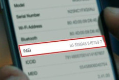 Cara Cek IMEI iPhone Inter di Bea Cukai Terbaru 2026, Ini Panduan Lengkapnya