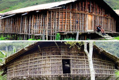 3 Rumah Adat Papua Barat, Mengenal Mod Aki Aksa hingga Rumah Panggung Raja Ampat