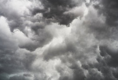 Update Cuaca Kaimana Minggu Ini: Suhu 21-29°C, Hujan Ringan Mengintai