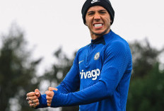 Rodri Didekati Barcelona, Man City Langsung Bidik Enzo Fernandez sebagai Penggantinya
