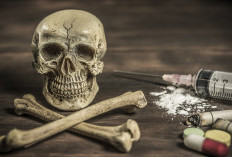 Polda Papua Barat Daya Sita Hampir 8 Kg Ganja, Jaringan Diduga Tembus Papua Nugini!