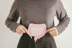 Usus Bermasalah? Ini Cara Memperbaikinya Secara Perlahan