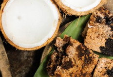 Pemanfaatan Sagu Lokal: Cemilan Bergizi untuk Balita Papua Barat